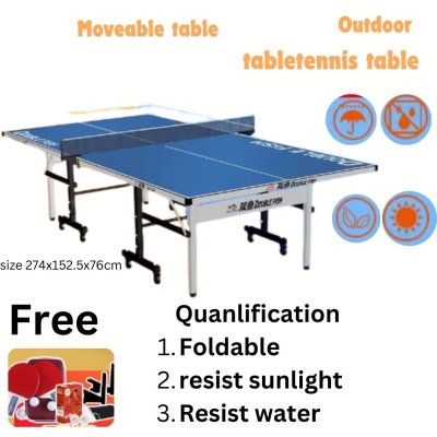 Table Tennis Outdoor Table Brand Double Fish H138
