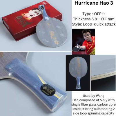 DHS Hurricane Wang Hao 3