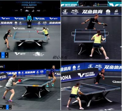 โต๊ะปิงปอง DOUBLE FISH 233 Competition Table