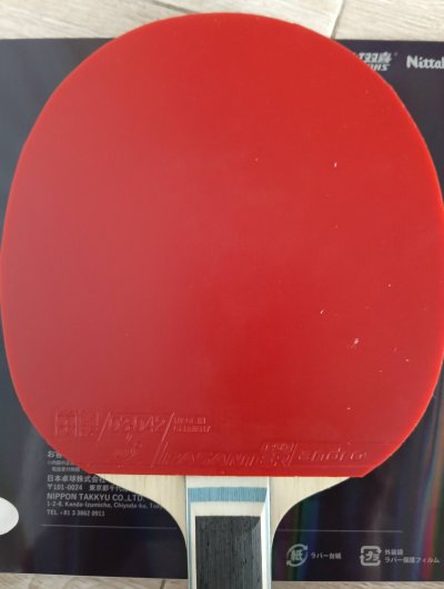 Used Andro Rasanter R 50