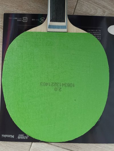 Used Andro Rasanter R 50