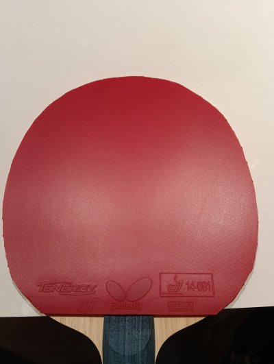 Used Tenergy 05