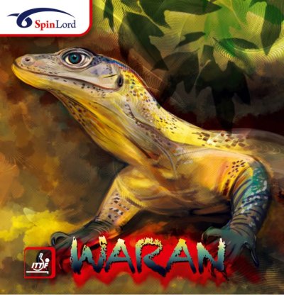 Spinlord Warran