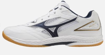Mizuno Wave Drive 9