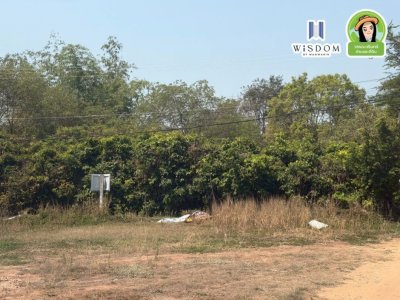ที่ดินเปล่าแปลงมุม ติดถนน 2 ด้าน บ้านดงแสนสุข ต.ไร่น้อย