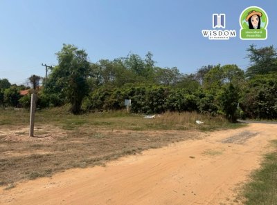 ที่ดินเปล่าแปลงมุม ติดถนน 2 ด้าน บ้านดงแสนสุข ต.ไร่น้อย
