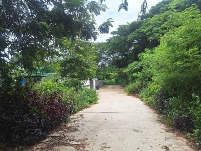 ที่ดินสวย เหมาะสำหรับสร้างบ้าน โซนขามใหญ่ หลัง ปตท. ด้ามพร้า ถนนชยางกูร