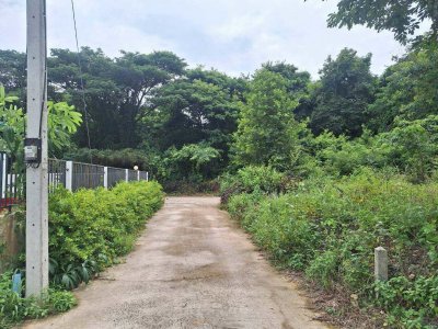 ที่ดินสวย เหมาะสำหรับสร้างบ้าน โซนขามใหญ่ หลัง ปตท. ด้ามพร้า ถนนชยางกูร