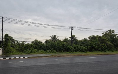 ที่ดินติดถนนสถิตย์นิมานกาล/ ในตัวอำเภอพิบูลมังสาหาร