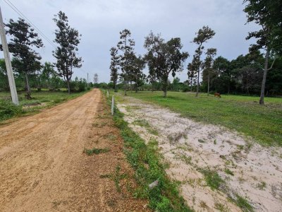 ขายที่ดิน บ้านไพบูลย์ ตำบลหนองช้างใหญ่ อำเภอม่วงสามสิบ จังหวัดอุบลราชธานี