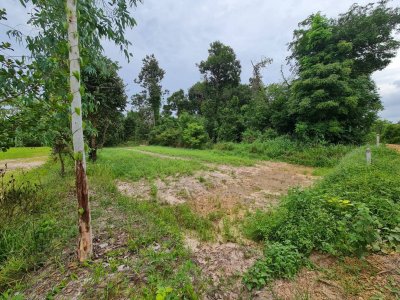 ขายที่ดิน บ้านไพบูลย์ ตำบลหนองช้างใหญ่ อำเภอม่วงสามสิบ จังหวัดอุบลราชธานี