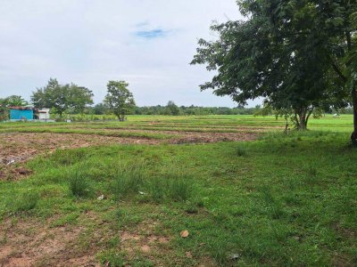 เปิดขายที่ดินบ้านหนองเค็ง  ต.ขามใหญ่ อ.เมืองอุบลราชธานี