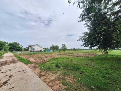 เปิดขายที่ดินบ้านหนองเค็ง  ต.ขามใหญ่ อ.เมืองอุบลราชธานี