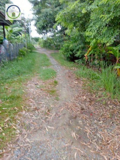ที่ดินกว้างเกือบ 100 ตรว. ติดถนน 2