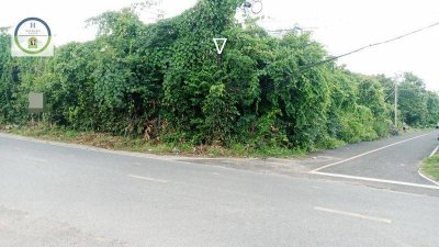 ที่ดินแปลงสวย ทำเลดี น่าลงทุน