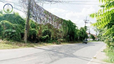 ที่ดินแปลงสวย ทำเลดี น่าลงทุน