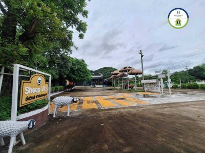 ที่ดินแปลงสวย ติดถนนหลักเส้นชยางกูร อ.เมือง จ.อุบล