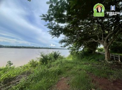 ที่ดินติดแม่น้ำโขง ใกล้ถนนคนเดินเขมราฐ