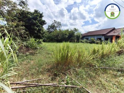ทางหลวงชนบท (สายบ้านหนองเม็ก-หนองพอก)