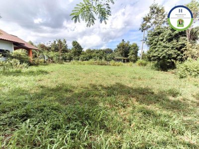 ทางหลวงชนบท (สายบ้านหนองเม็ก-หนองพอก)