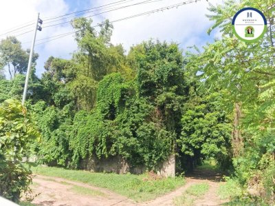 ขายที่ดินเปล่า บ้านคำเจริญ