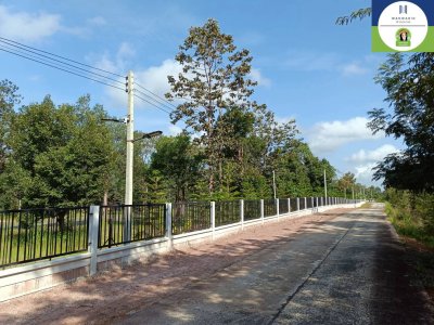 ที่ดินสวยแปลงใหญ่ เกือบ 38 ไร่ ไม่ไกลตัวเมืองอุบล อ.พิบูลมังสาหาร