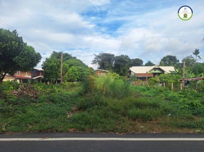 ที่ดินเปล่า แปลงสวย ใกล้ถนนเลียบห้วยวังนอง