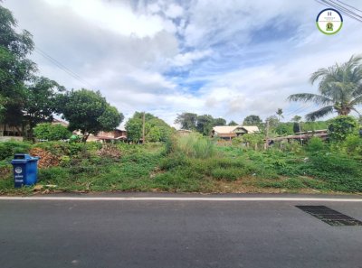 ที่ดินเปล่า แปลงสวย ใกล้ถนนเลียบห้วยวังนอง