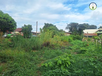 ที่ดินเปล่า แปลงสวย ใกล้ถนนเลียบห้วยวังนอง