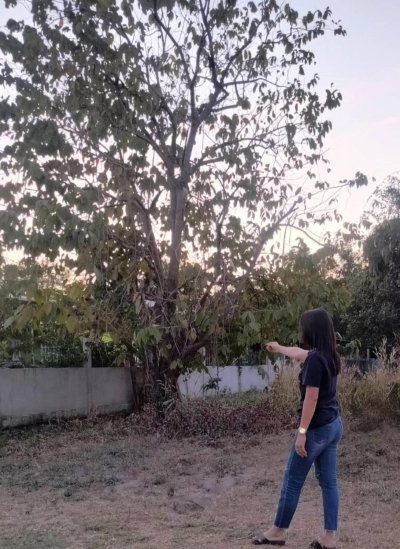 ที่ดินแปลงสวย ทำเลดี ใกล้ศูนย์ราชการอำนาจเจริญ