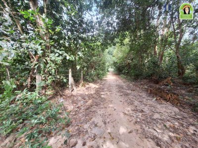 ที่ดินเปล่าเนื้อที่เยอะ ใกล้ รร.บ้านบุ่งหวาย อ.วารินชำราบ