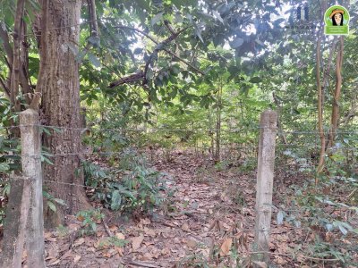 ที่ดินเปล่าเนื้อที่เยอะ ใกล้ รร.บ้านบุ่งหวาย อ.วารินชำราบ