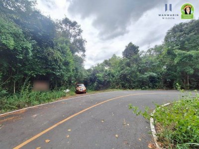 ที่ดินเปล่าเนื้อที่เยอะ ใกล้ รร.บ้านบุ่งหวาย อ.วารินชำราบ