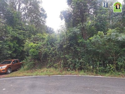 ที่ดินเปล่าเนื้อที่เยอะ ใกล้ รร.บ้านบุ่งหวาย อ.วารินชำราบ