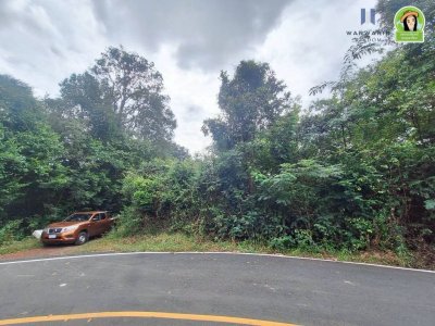 ที่ดินเปล่าเนื้อที่เยอะ ใกล้ รร.บ้านบุ่งหวาย อ.วารินชำราบ