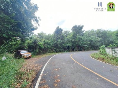 ที่ดินเปล่าเนื้อที่เยอะ ใกล้ รร.บ้านบุ่งหวาย อ.วารินชำราบ