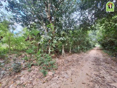 ที่ดินเปล่าเนื้อที่เยอะ ใกล้ รร.บ้านบุ่งหวาย อ.วารินชำราบ