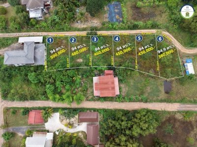 ที่ดินเปล่าแบ่งล็อค ในซอยตรงข้ามร้านหนังสือฟิลาเดลเฟีย เมืองศรีไค