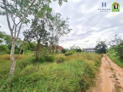 ที่ดินเปล่าแบ่งล็อค ในซอยตรงข้ามร้านหนังสือฟิลาเดลเฟีย เมืองศรีไค