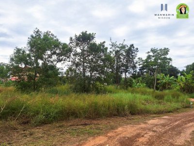 ที่ดินเปล่าแบ่งล็อค ในซอยตรงข้ามร้านหนังสือฟิลาเดลเฟีย เมืองศรีไค