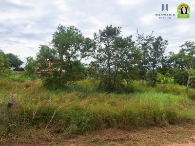 ที่ดินเปล่าแบ่งล็อค ในซอยตรงข้ามร้านหนังสือฟิลาเดลเฟีย เมืองศรีไค