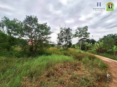 ที่ดินเปล่าแบ่งล็อค ในซอยตรงข้ามร้านหนังสือฟิลาเดลเฟีย เมืองศรีไค