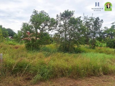 ที่ดินเปล่าแบ่งล็อค ในซอยตรงข้ามร้านหนังสือฟิลาเดลเฟีย เมืองศรีไค