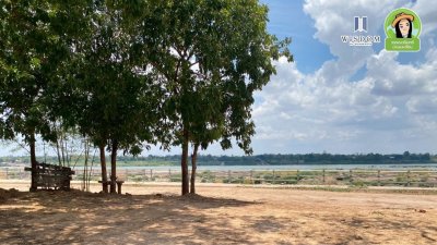 ขายที่ดินติดริมโขง "เขมราฐ" วิวหลักล้าน