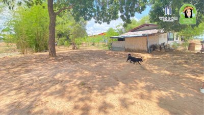 ขายที่ดินติดริมโขง "เขมราฐ" วิวหลักล้าน