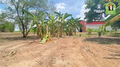 ขายที่ดินติดริมโขง "เขมราฐ" วิวหลักล้าน