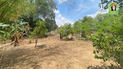 ขายที่ดินติดริมโขง "เขมราฐ" วิวหลักล้าน