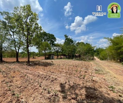 ขายที่ดินแปลงใหญ่ อ.เขมราฐ จ.อุบลราชธานี