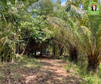 ขายที่ดินแปลงใหญ่ อ.เขมราฐ จ.อุบลราชธานี