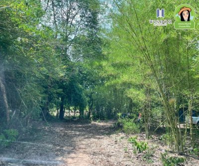 ขายที่ดินแปลงใหญ่ อ.เขมราฐ จ.อุบลราชธานี